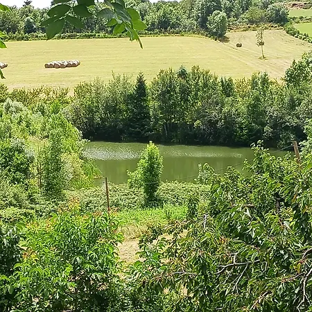 Chez Marceau Veranne